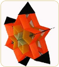 Cellular Box Kite