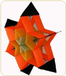 Cellular Box Kite