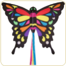 ColorFly Butterfly Kite