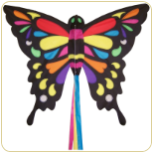 ColorFly Butterfly Kite
