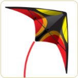 Recon Sport Kite